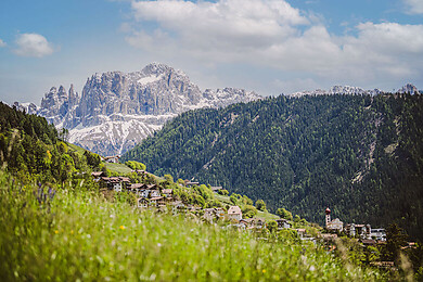 Tiers am Rosengarten