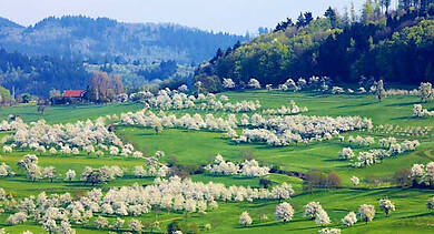 Albtal