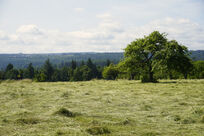 Sommerregionen