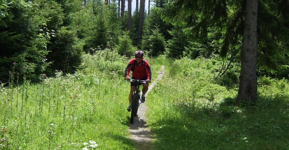 mtb tour oberkirch