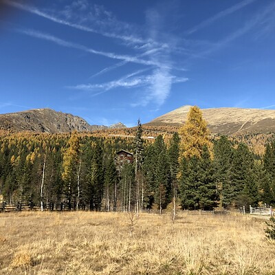 Avatar z Ottmar Henne