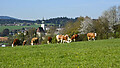 Sommerregionen