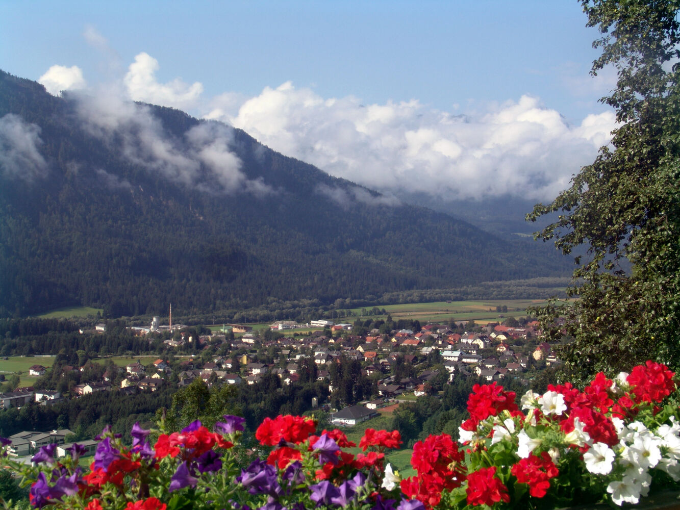 Steinfeld im Drautal