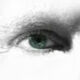 Avatar de Roman Fischer 2