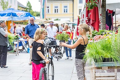Völkermarkt