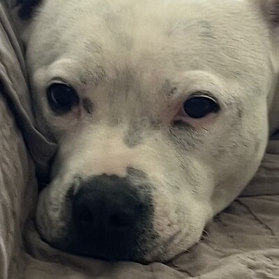 Avatar iz Marunka Kostalova