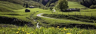 Rauris