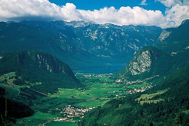Bohinj