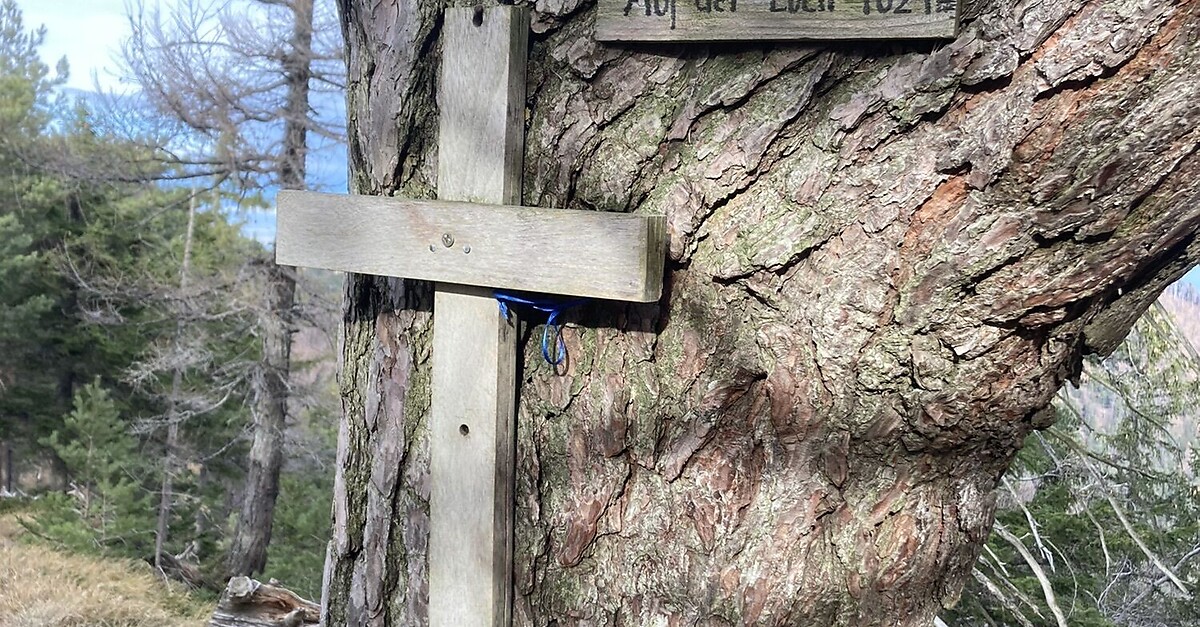 Kieneck über Enziansteig Mareschsteig BERGFEX Wanderung Tour