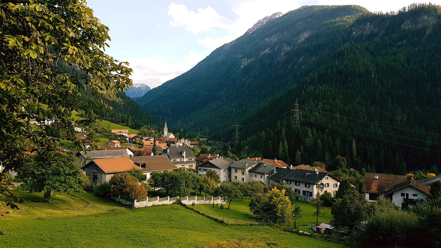 Filisur
