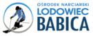 Logo Lodowiec Babica