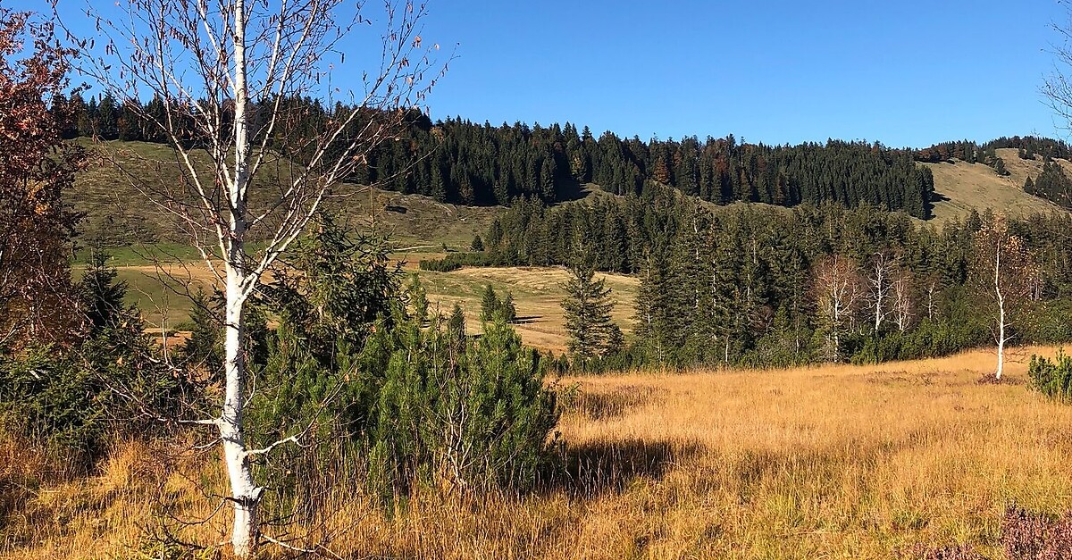 Rundweg Imberg - Hochhäderich - BERGFEX - Wanderung - Tour Bayern