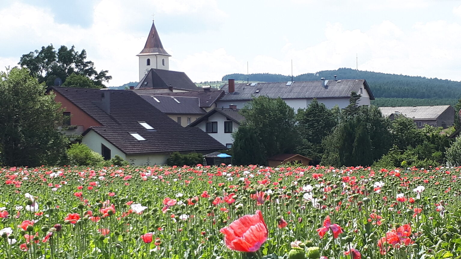 Martinsberg