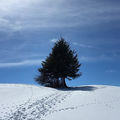 Awatar z Uwe Grießbach