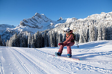 Braunwald