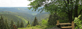 Thüringer Wald