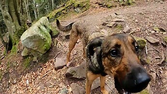 Roxitours 4 - Le Petit Hohnack, Stumpfkopf, Marbach. 36kms.