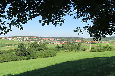 Pfofeld