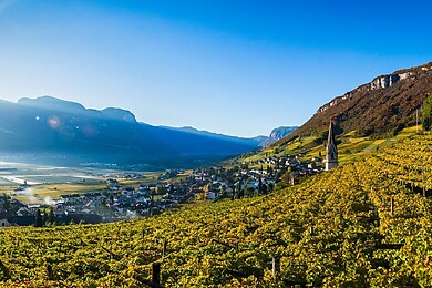 Tramin an der Weinstrasse