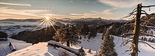 Ostallgäu