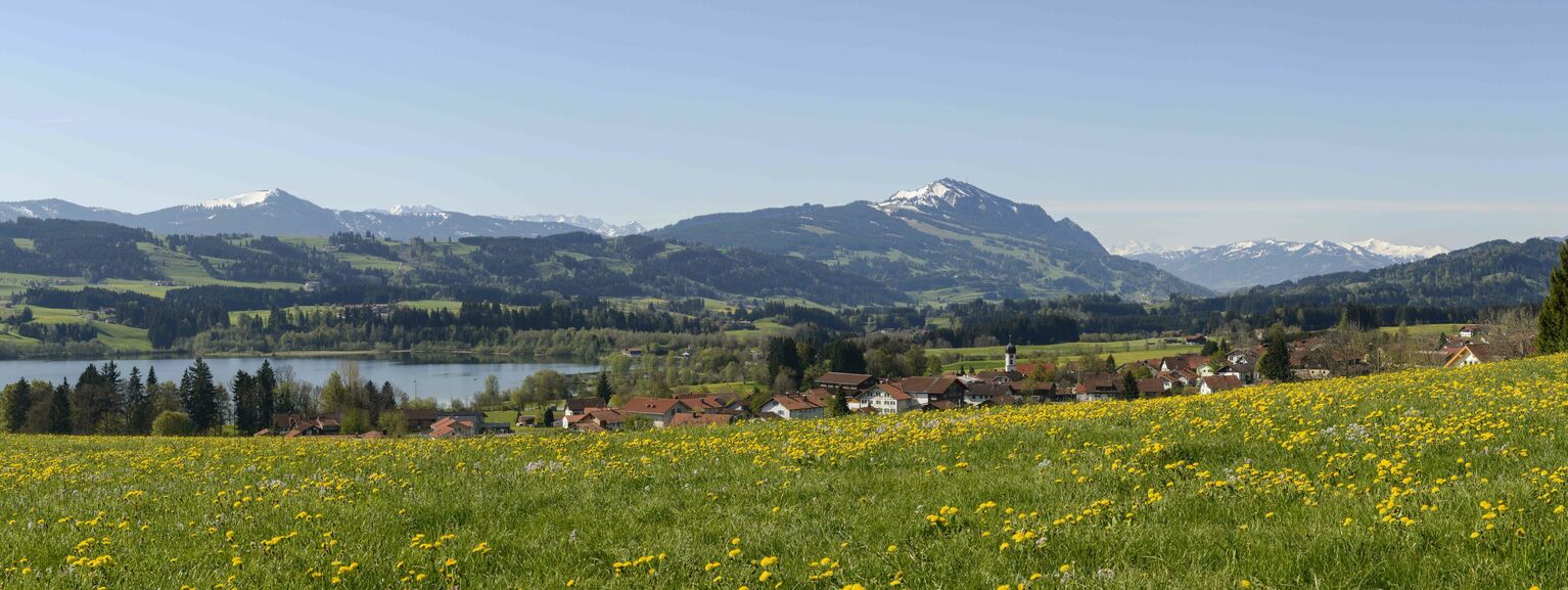 Sulzberg im Allgäu