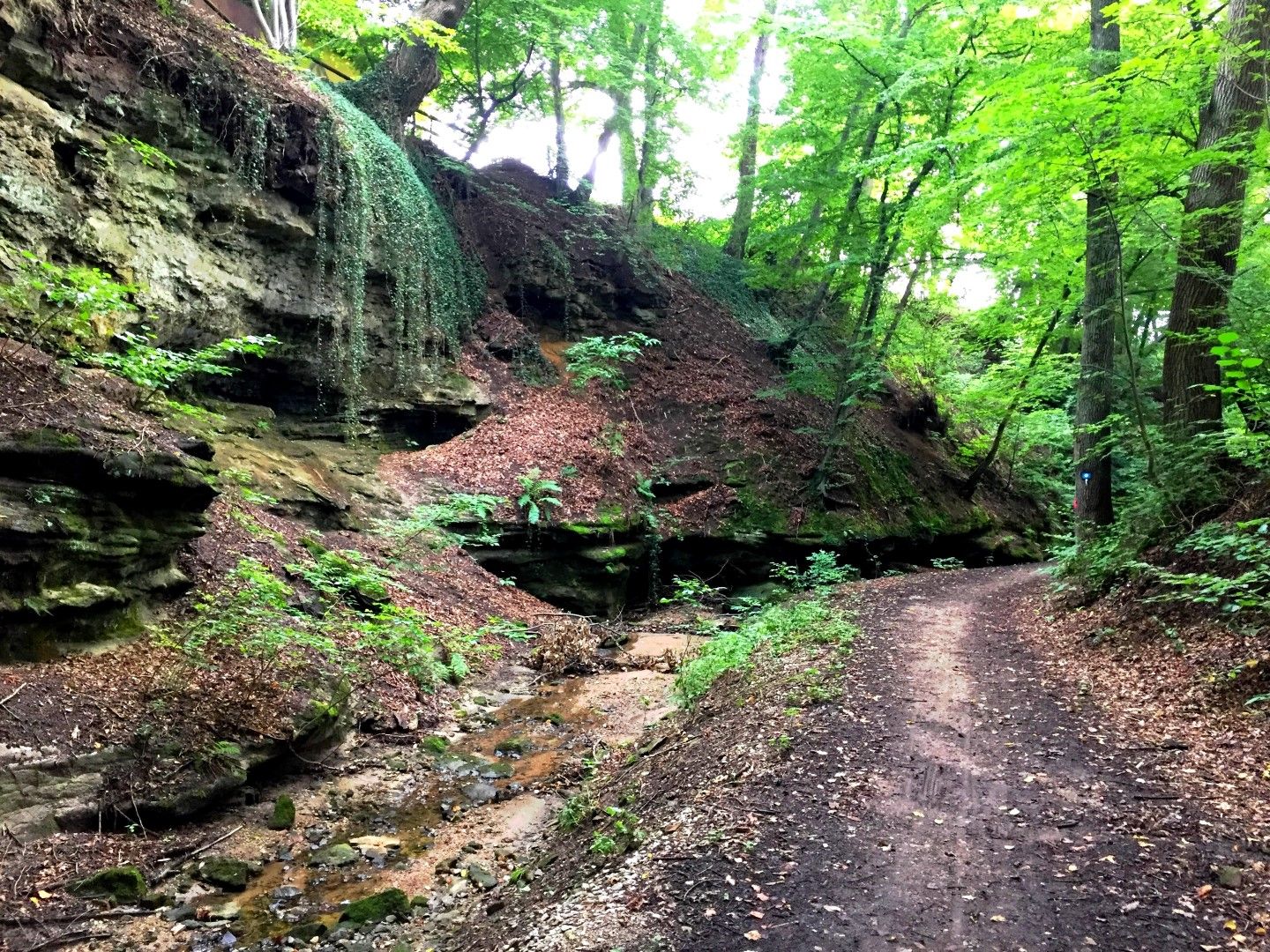 Winkelhaid Verborgene Waldtäler - BERGFEX - Wanderung - Tour Bayern
