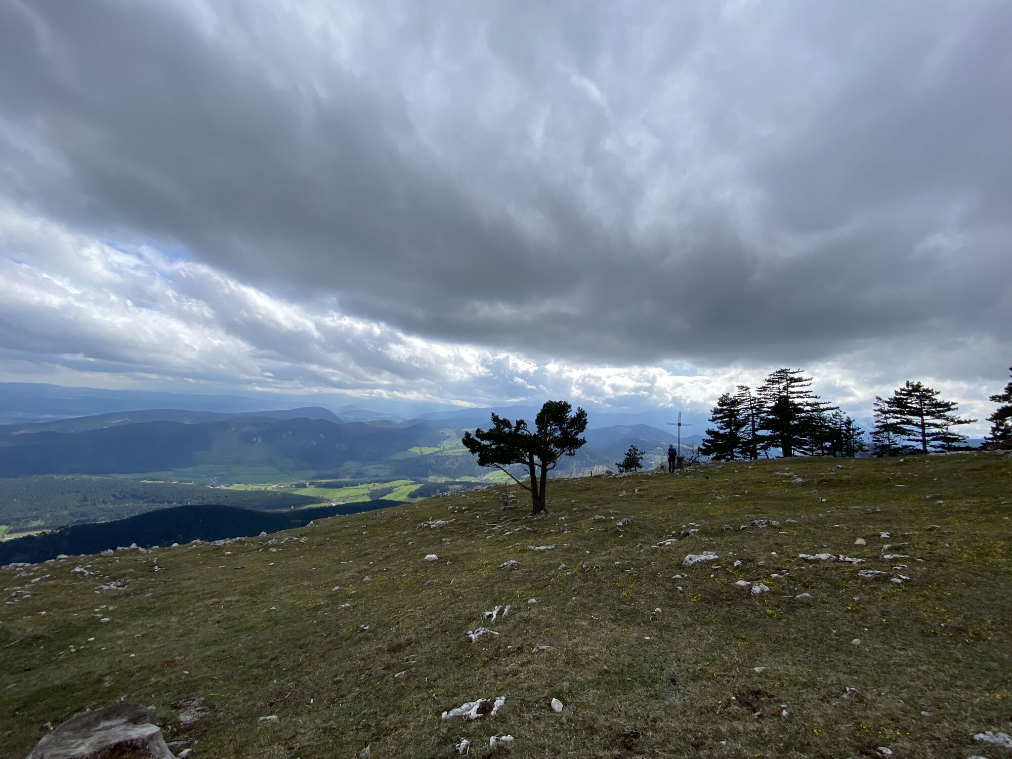Hohe Wand Wagnersteig - Springlessteig - BERGFEX - Wanderung - Tour ...