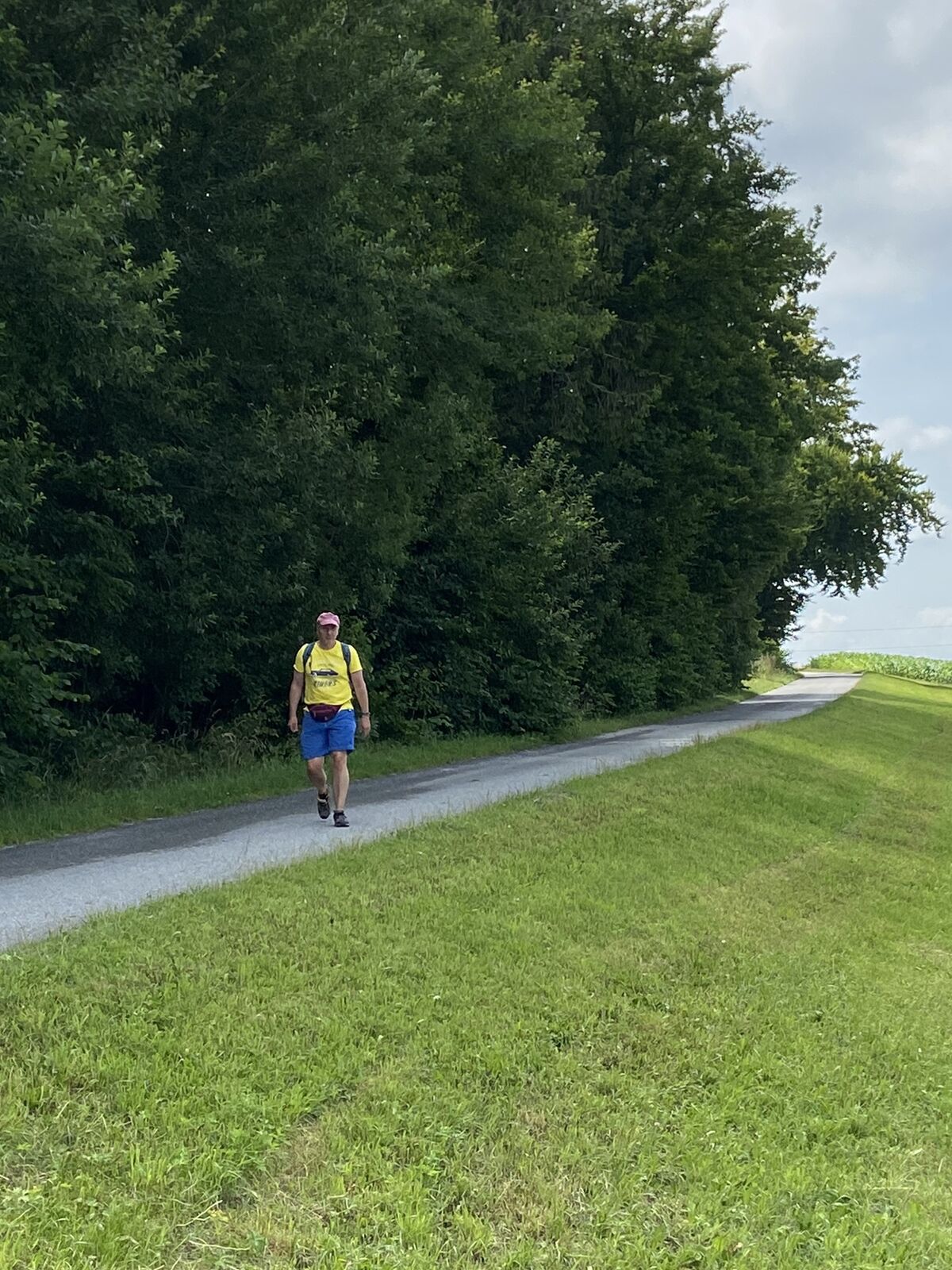 Ottensteiner Stausee von Rastenberg au - BERGFEX - Wanderung - Tour ...