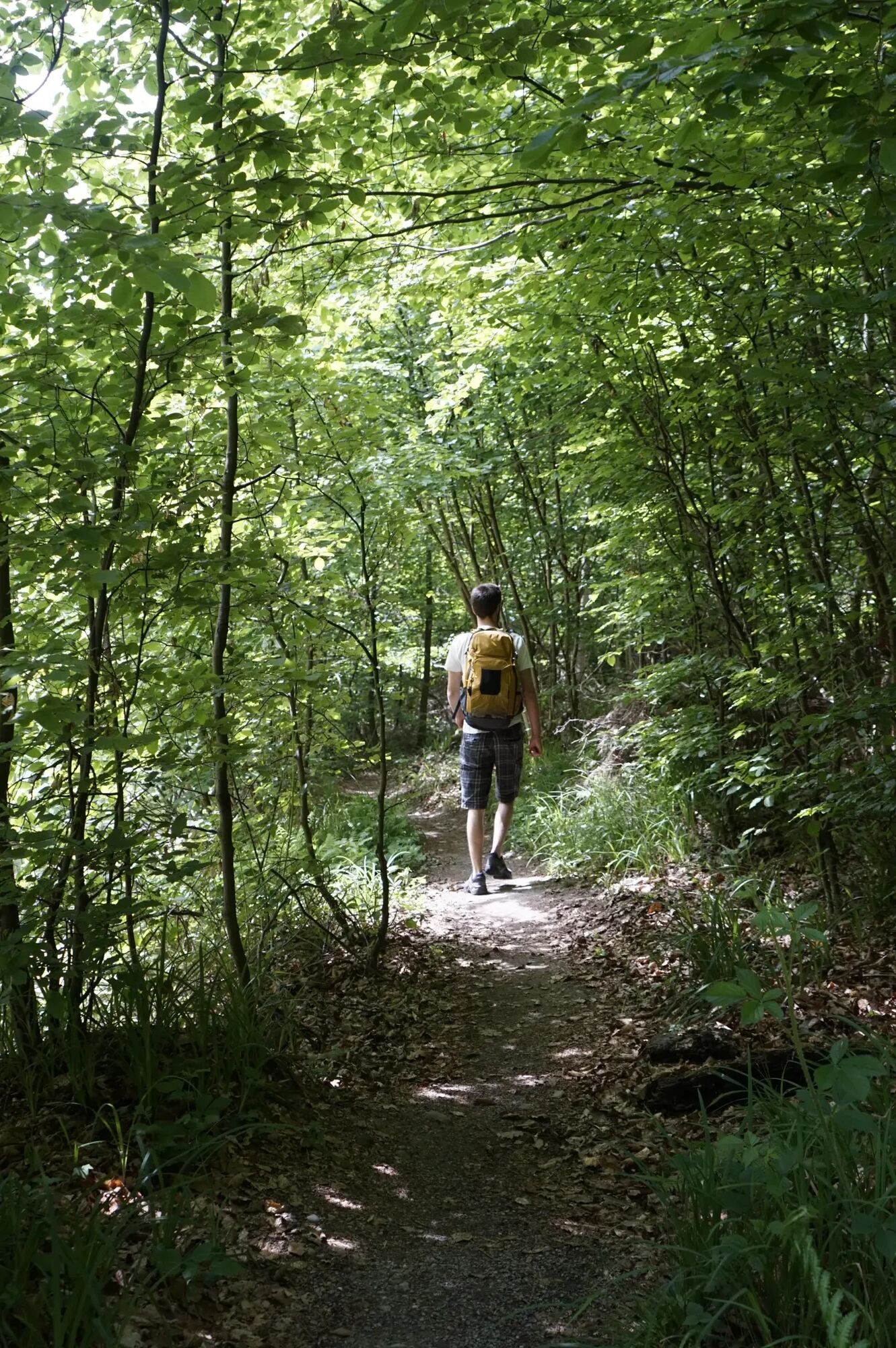 Wandern