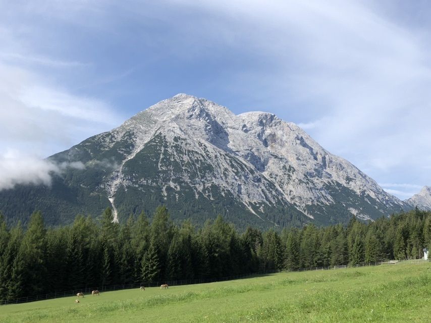Zemljevid
