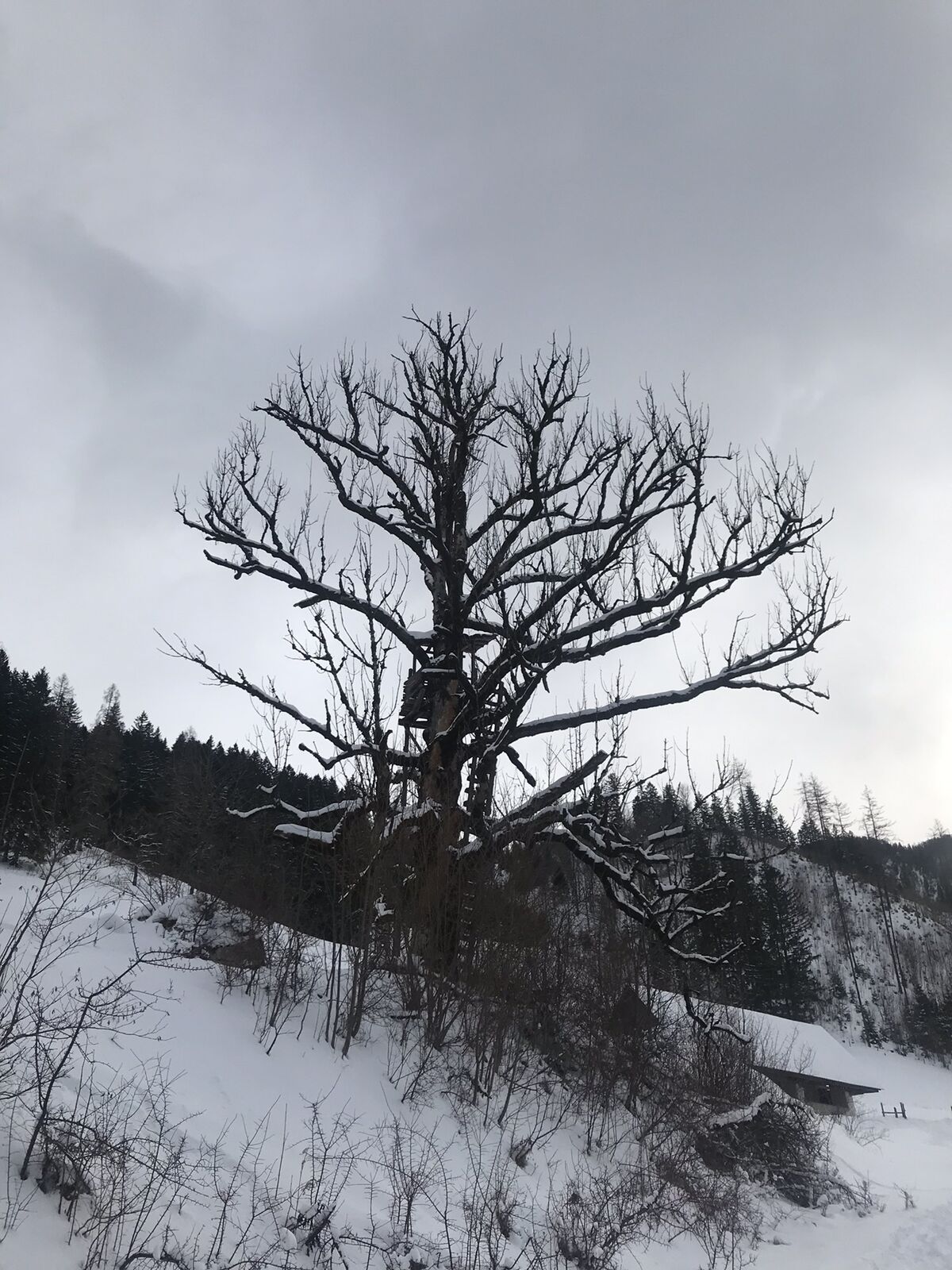 Karte