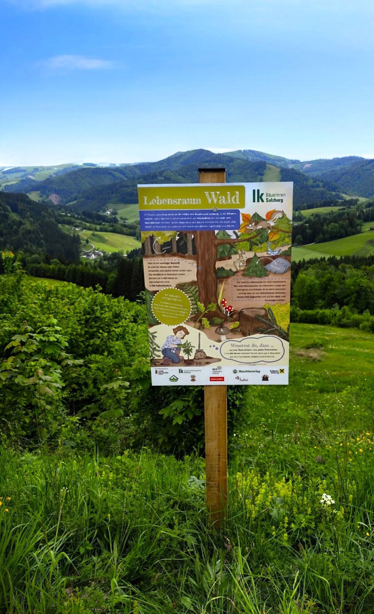 Schautafel
