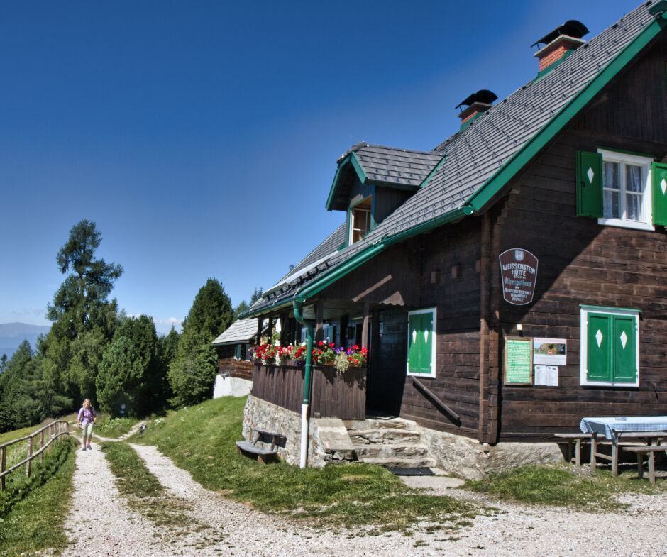 Térkép