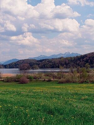 Seehamer See