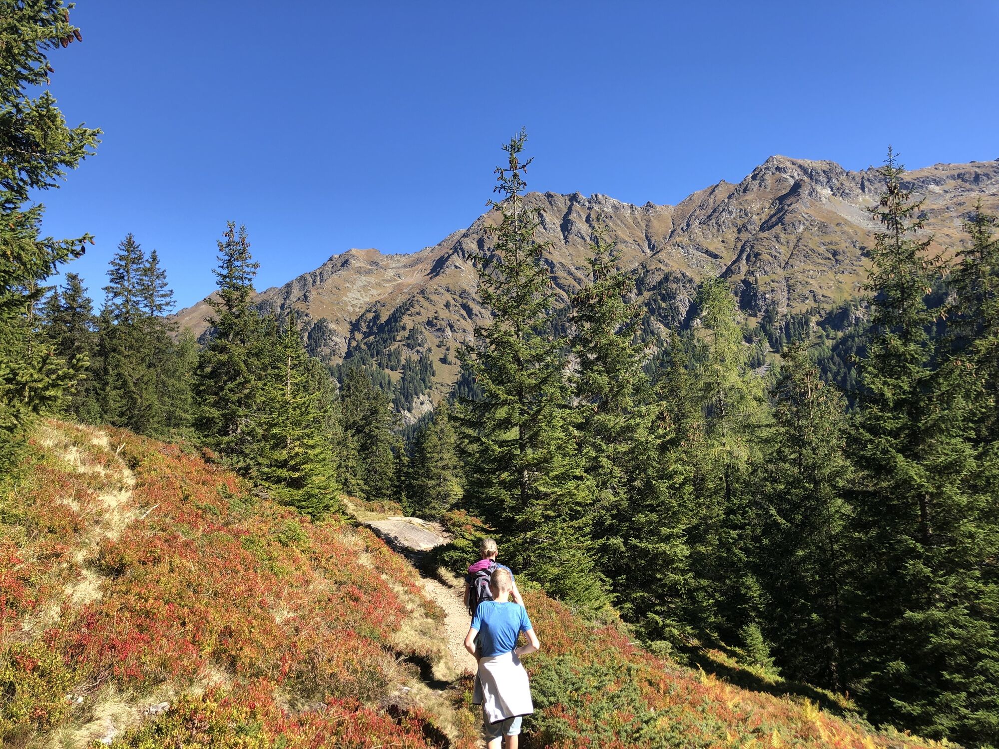 Duisitzkarsee mit erfrischendem Bad im See - BERGFEX - Wanderung - Tour ...