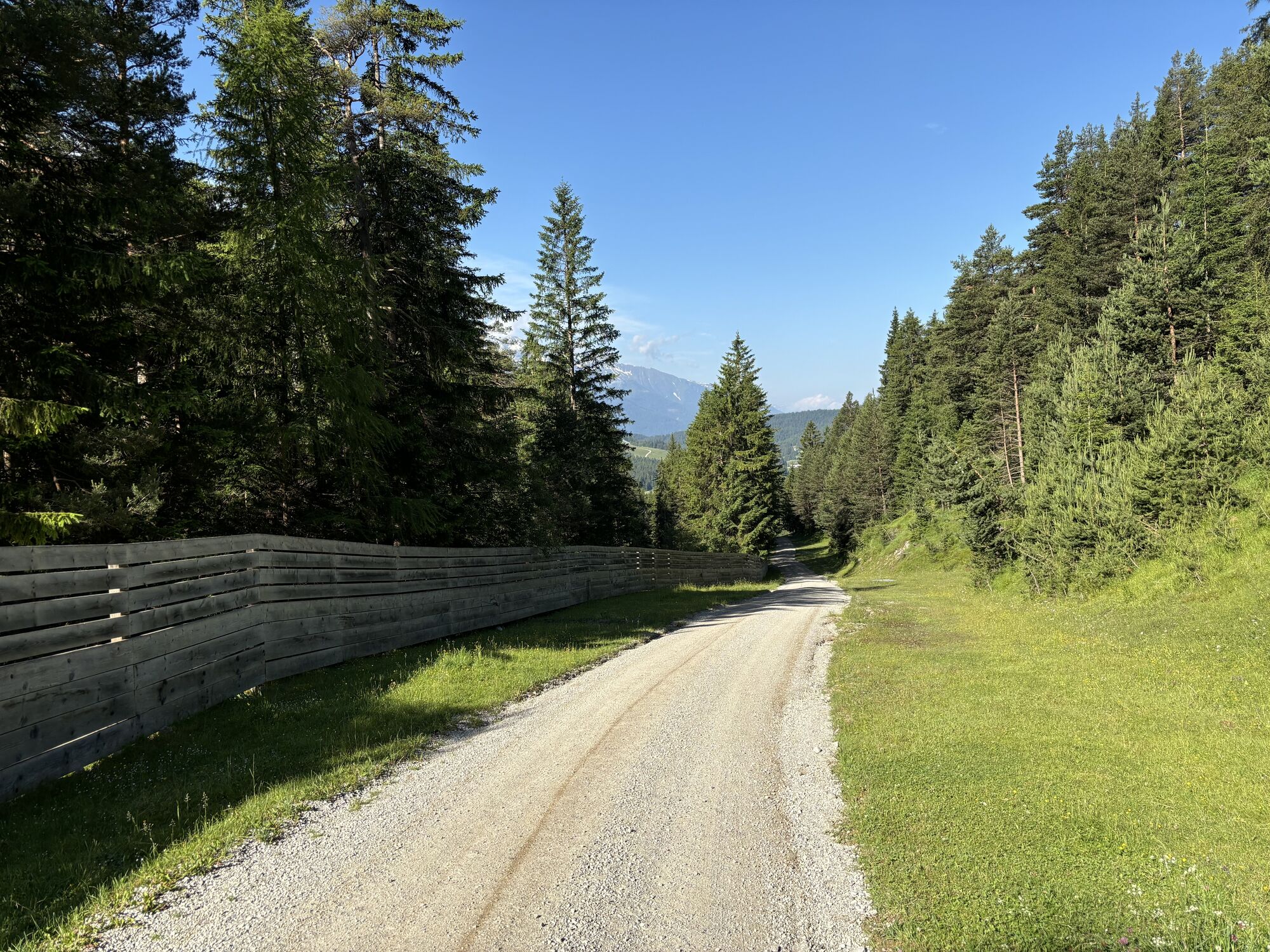 Karta