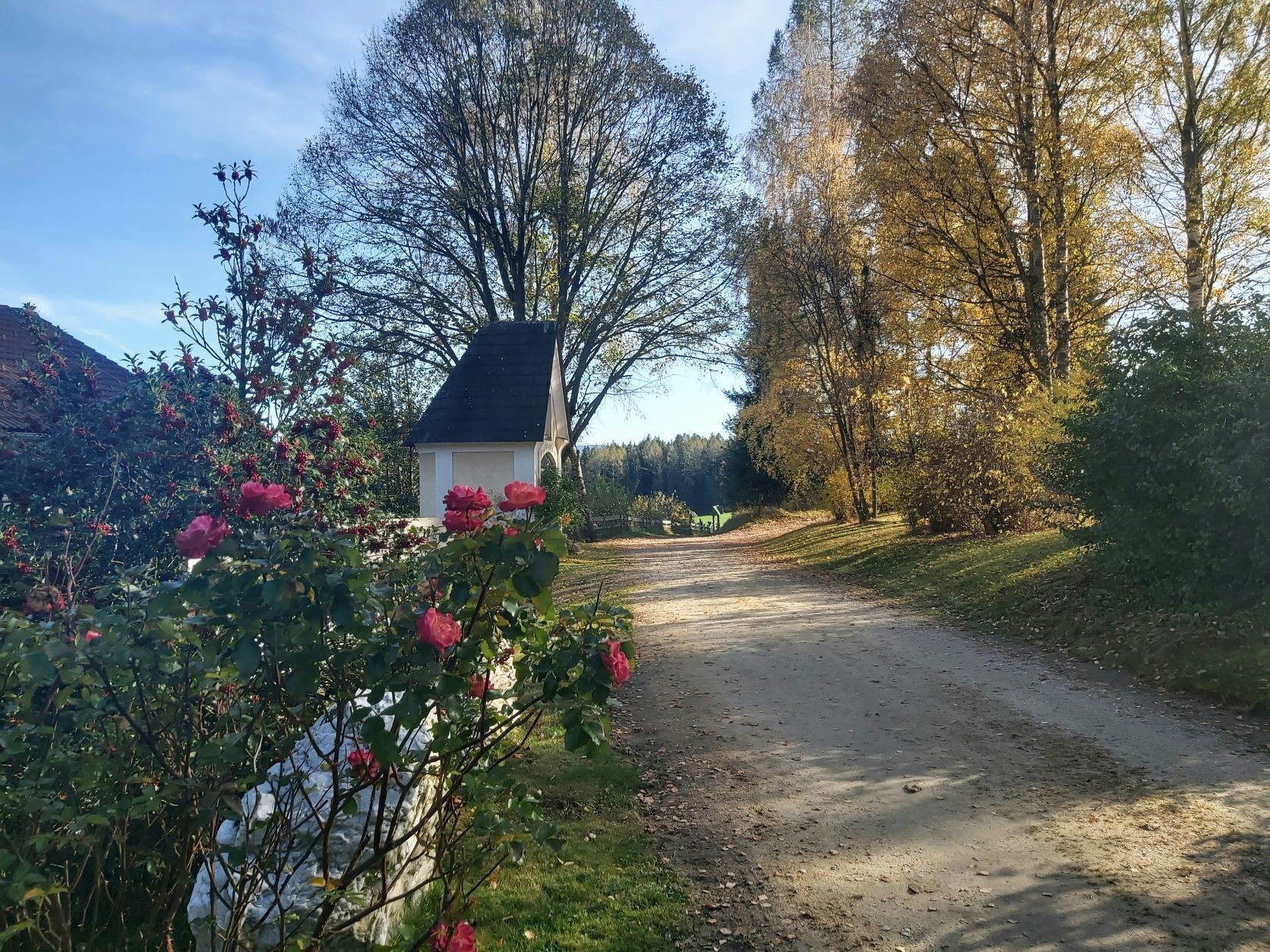 Karte