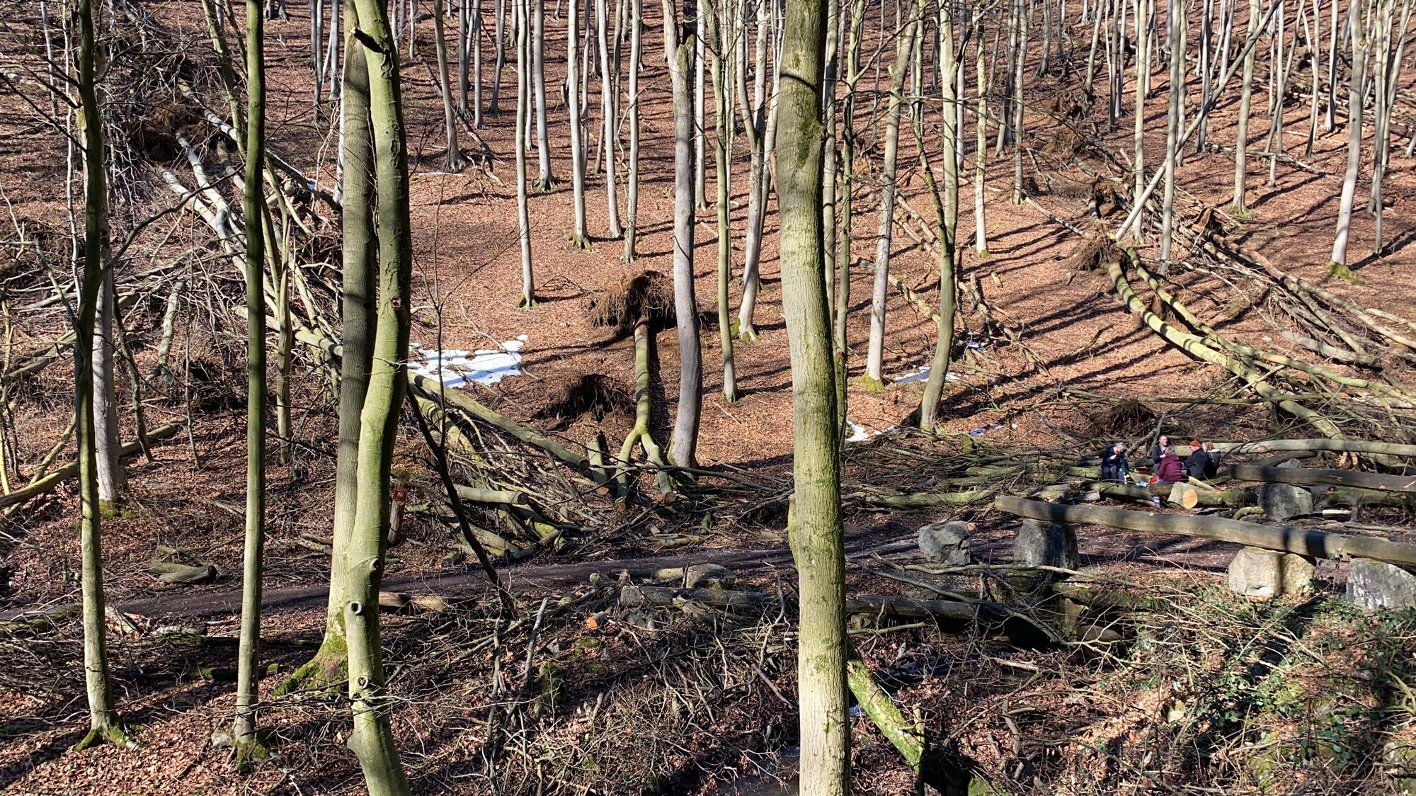 Höllrnbachtal BERGFEX Wanderung Tour Niedersachsen