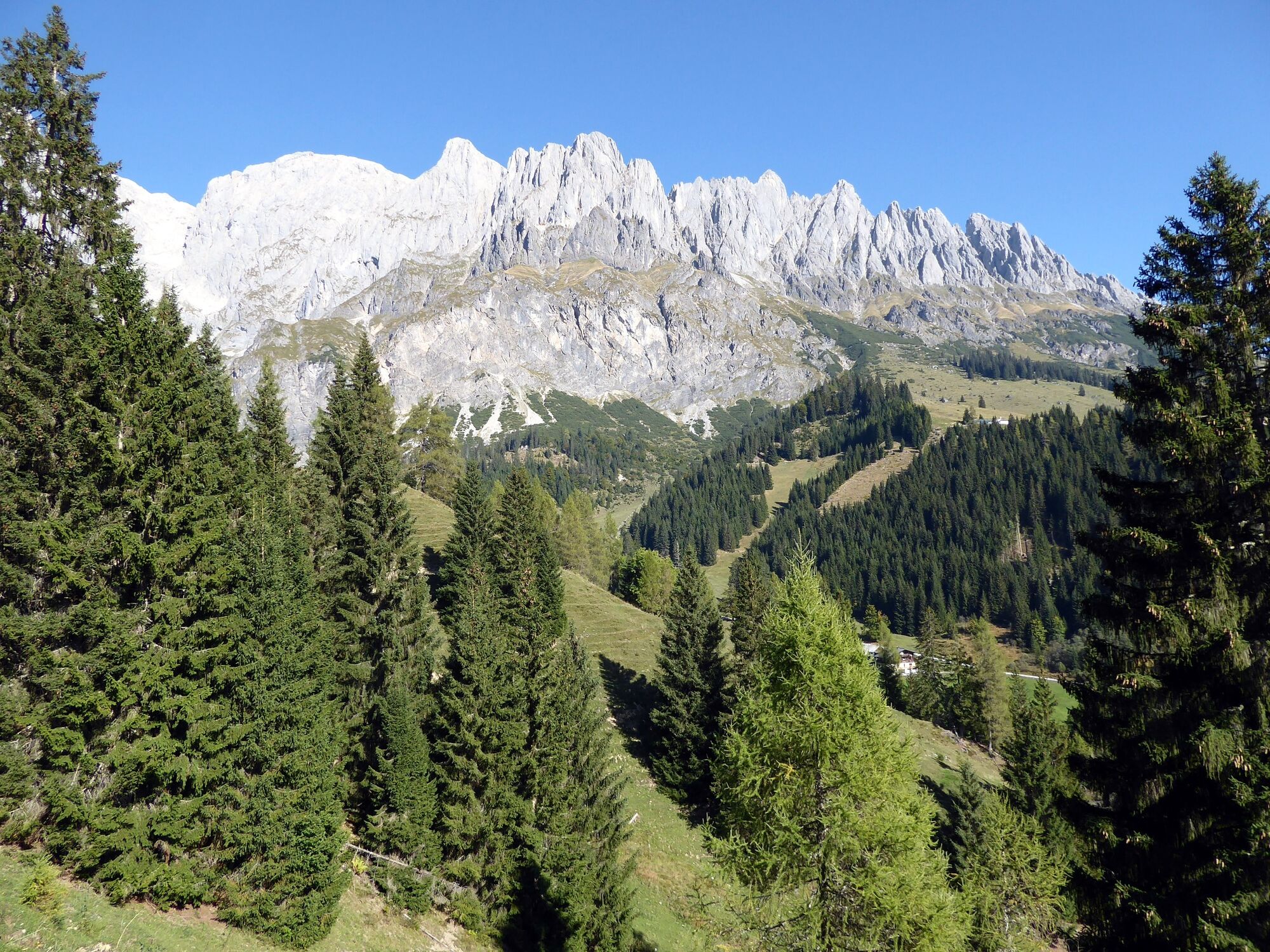 Durch das Riedingtal nach Mühlbach - BERGFEX - Hiking - Tour Salzburg