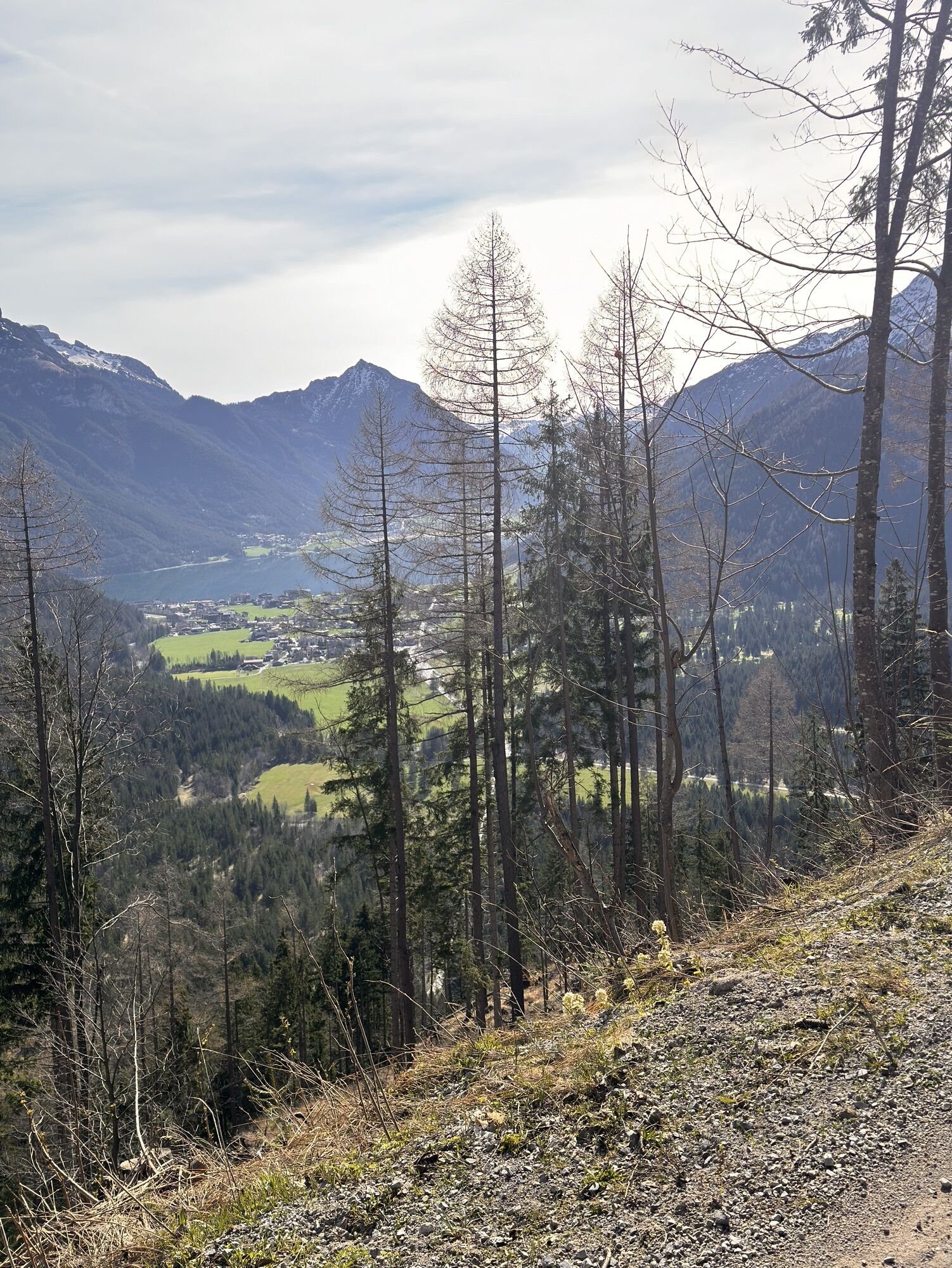 Karte