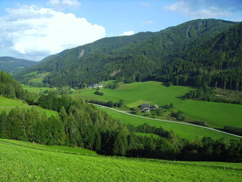 Térkép