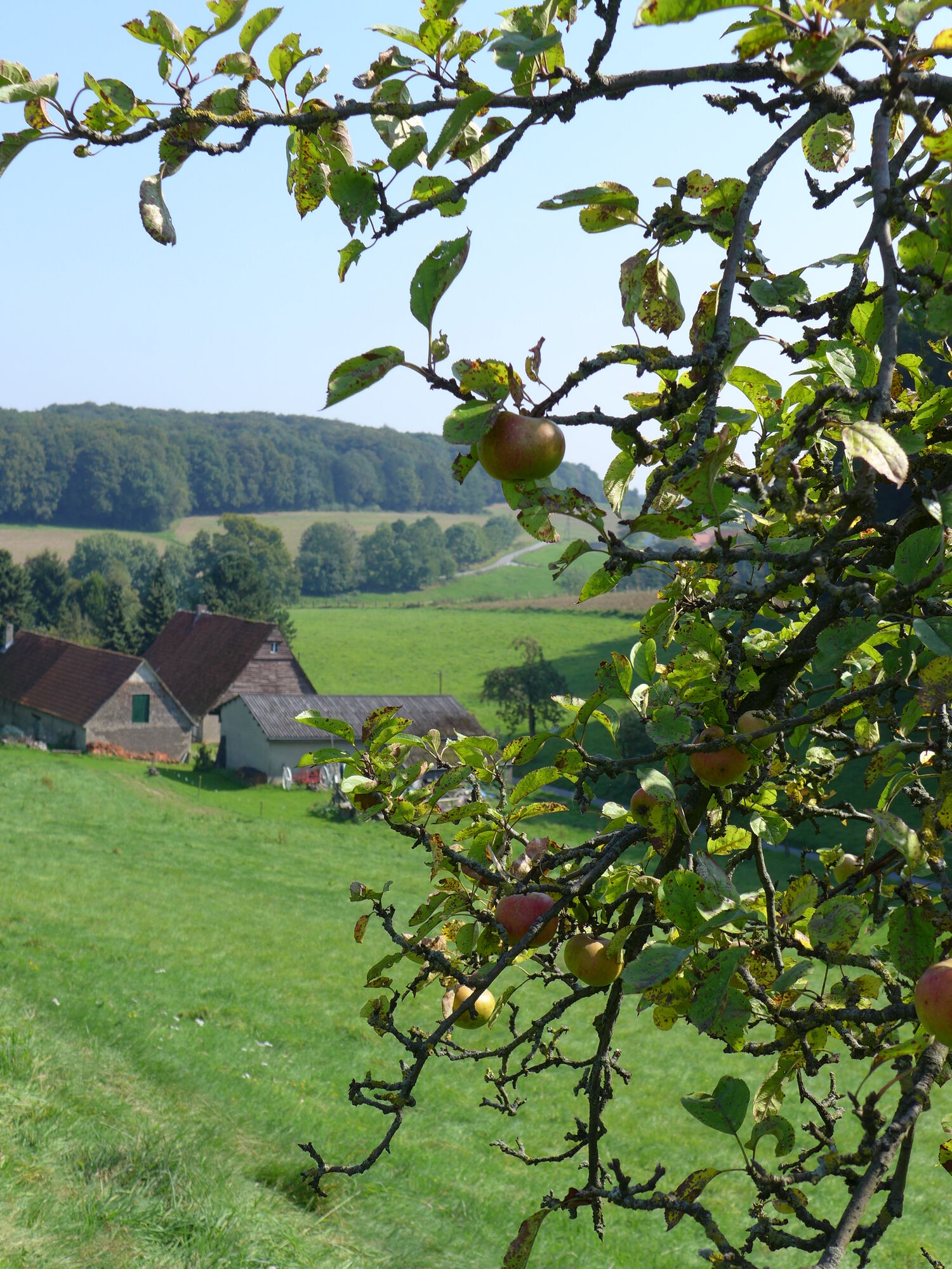 Im Zittertal in Bissendorf