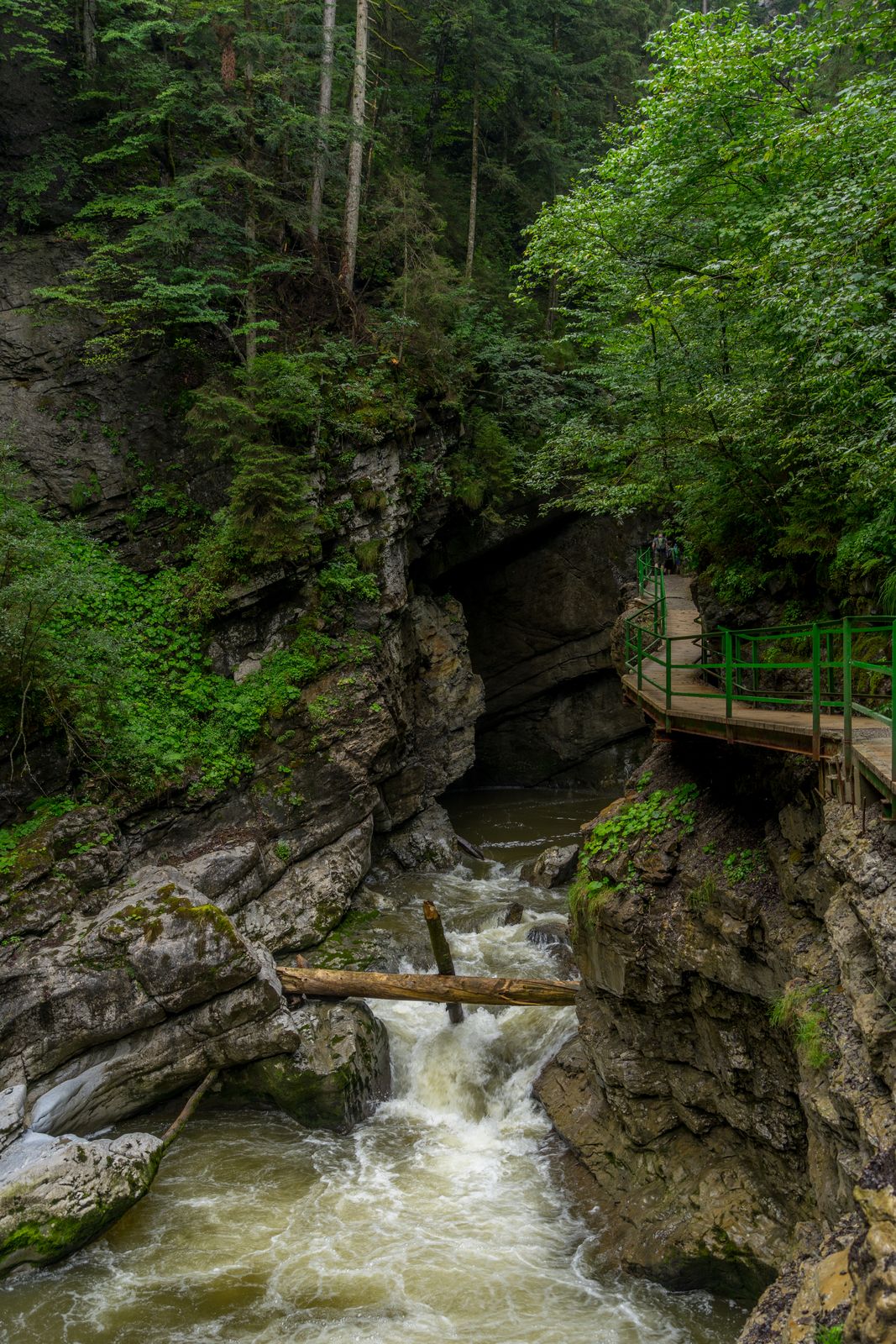 BERGFEX Sehensw rdigkeiten Breitachklamm Kleinwalsertal BERGFEX Sehensw rdigkeiten Breitachklamm Kleinwalsertal