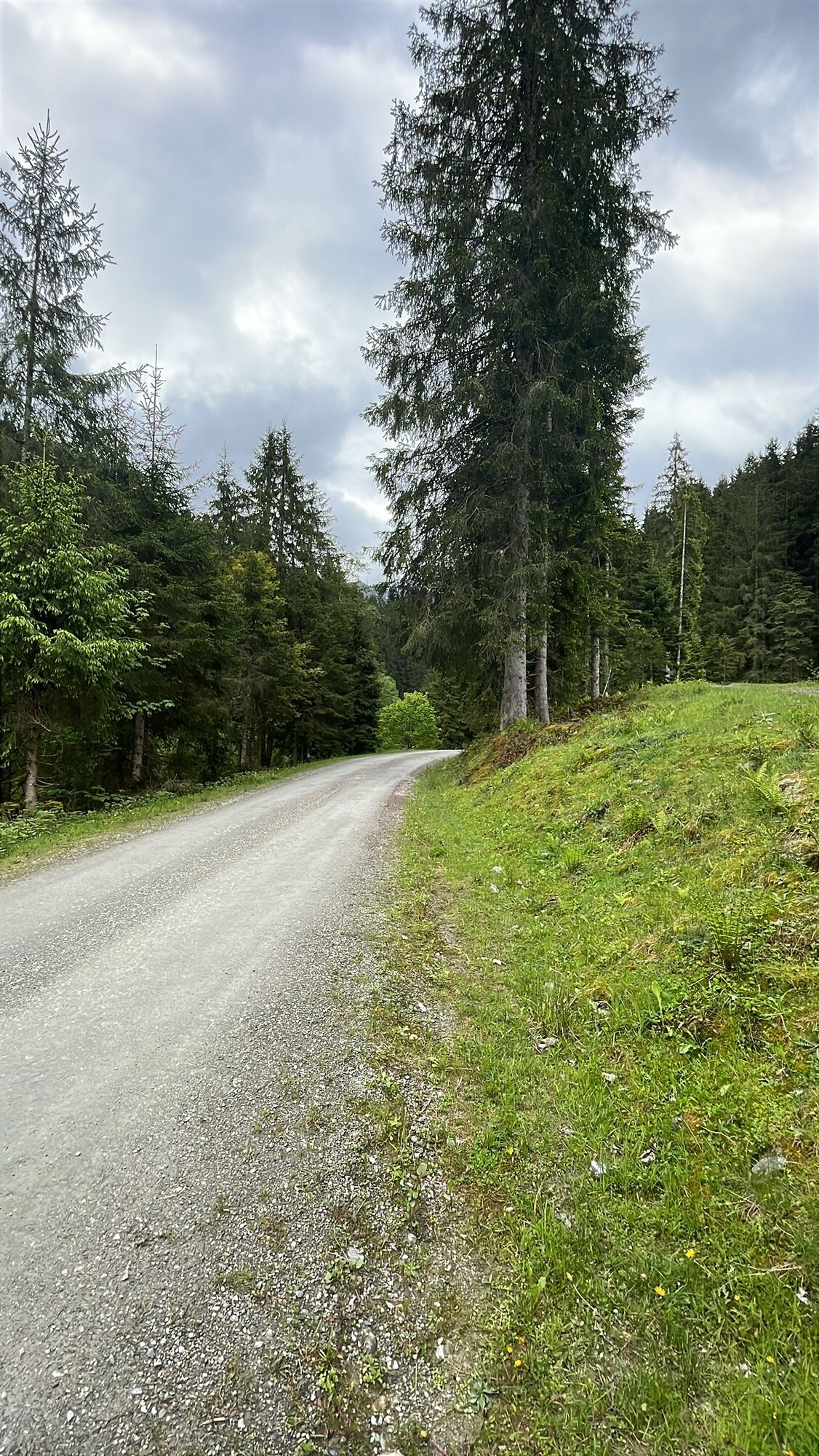 Kart