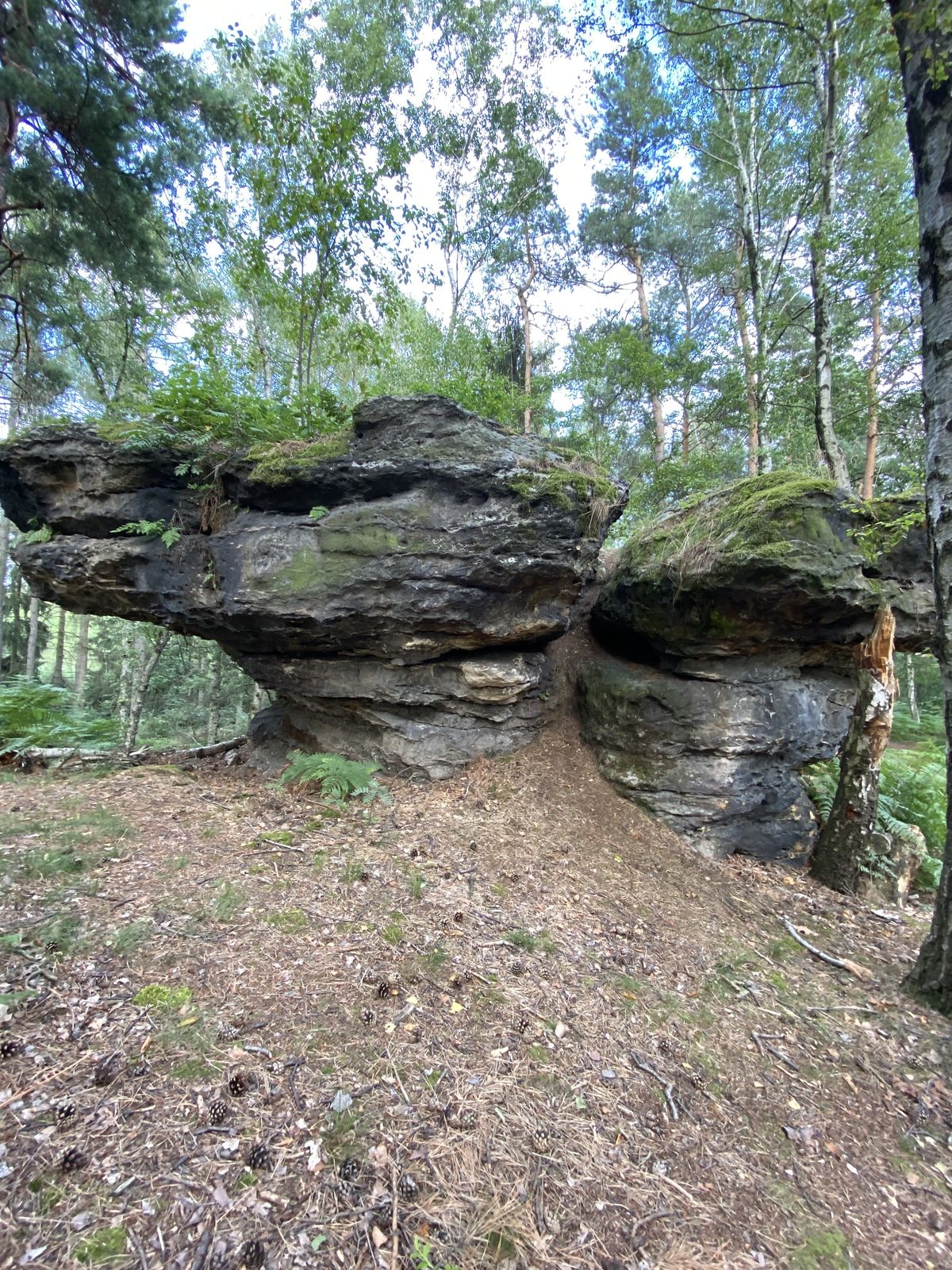 Rundweg Nr. 7 Bad Gottleuba, Raabsteine - BERGFEX - Wanderung - Tour ...