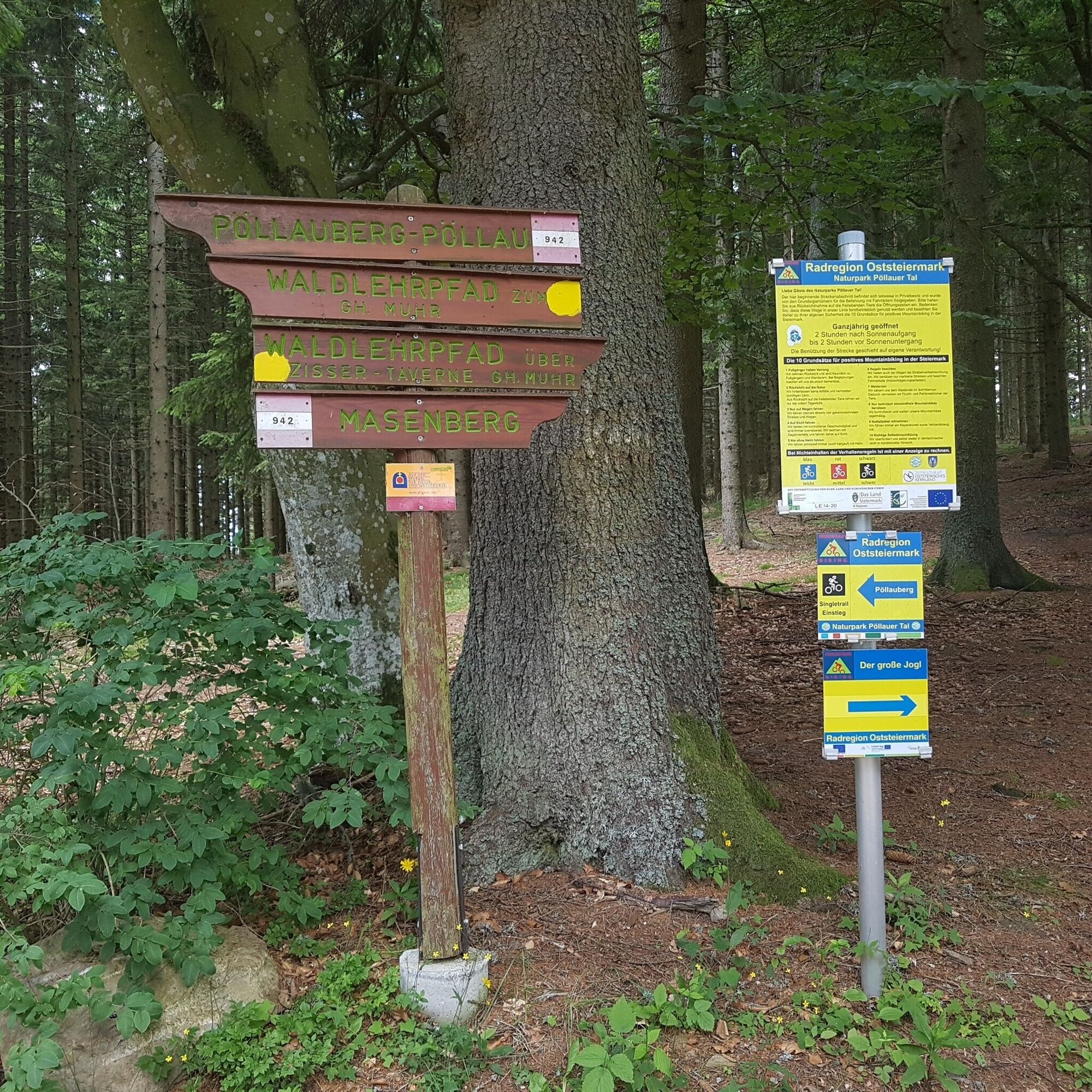 Karte