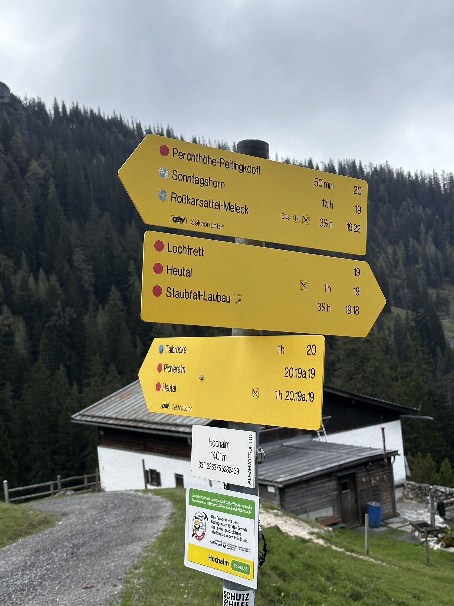 Sonntagshorn über Hochalm (Unken, Heutalbauer) - BERGFEX - Wanderung