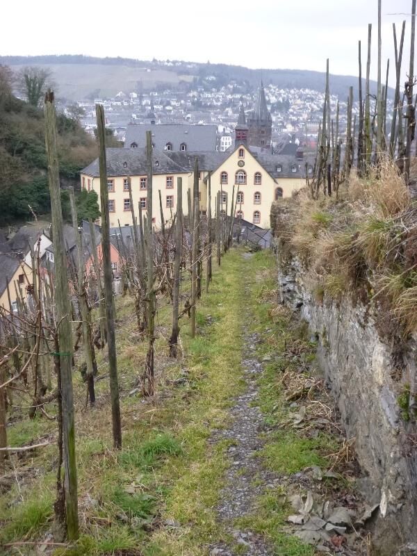 Weinbergspfad bei Bernkastel