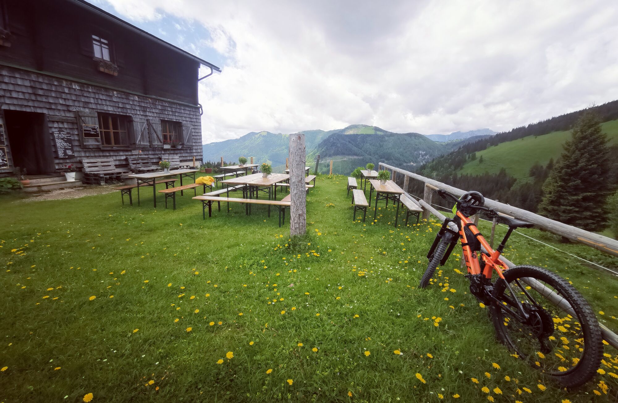 Turnauer Alm Runde - BERGFEX - Mountainbike - Tour Steiermark