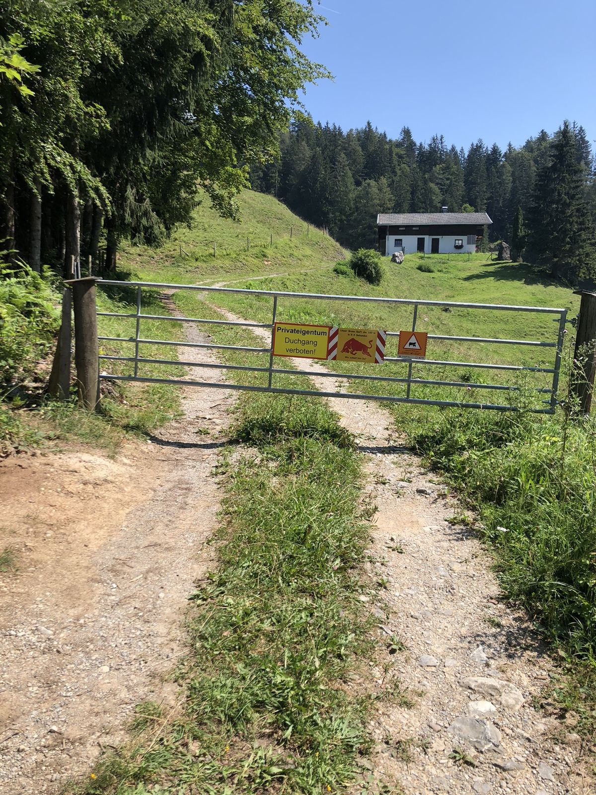 Karta
